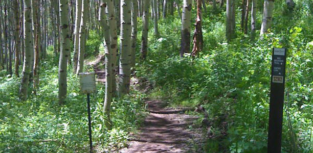 Mighty Premium Theme