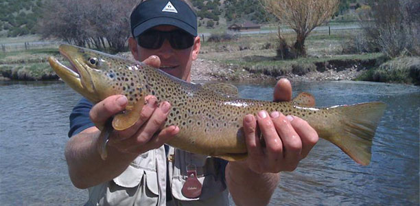 Mighty Premium Theme