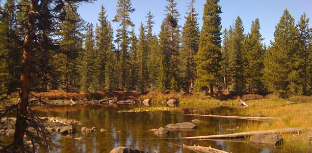 Mighty Premium Theme