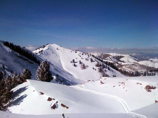 Park City Elevated